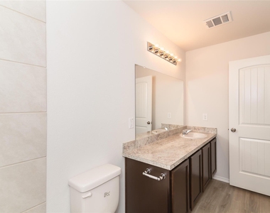24123 Treviso Gardens Court - Photo Thumbnail 5