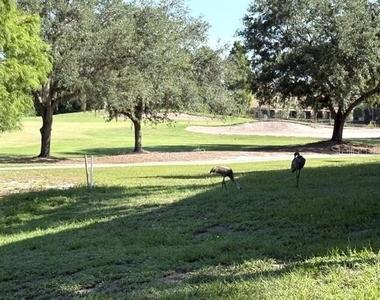 1425 Emerald Dunes Drive - Photo Thumbnail 71