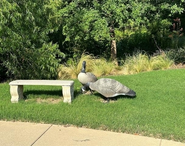 1865 Wood Duck Lane - Photo Thumbnail 28