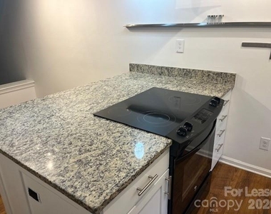 433 W 8th Street - Photo Thumbnail 13