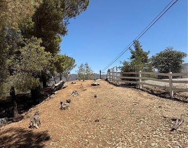 27258 Kiavo Drive - Photo Thumbnail 43