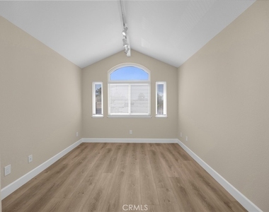 5700 Scotch Pine - Photo Thumbnail 27
