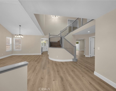 5700 Scotch Pine - Photo Thumbnail 4