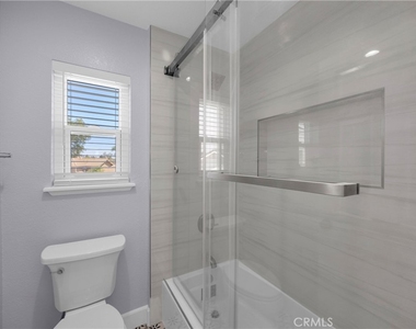 5700 Scotch Pine - Photo Thumbnail 26