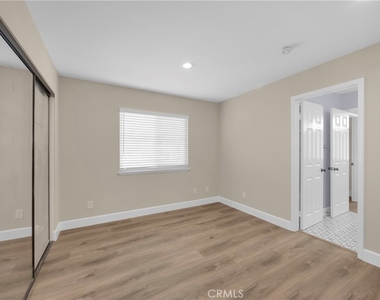 5700 Scotch Pine - Photo Thumbnail 24