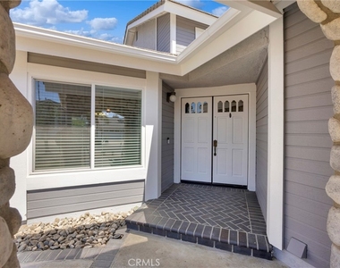 5700 Scotch Pine - Photo Thumbnail 2