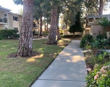 279 Avenida Carmel - Photo Thumbnail 15