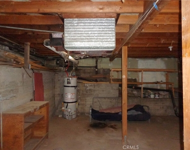 1021 Coulter Pine - Photo Thumbnail 4