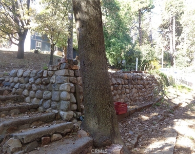 1021 Coulter Pine - Photo Thumbnail 1
