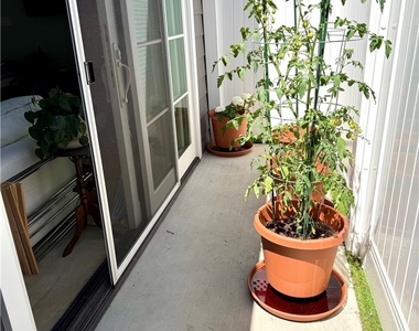 1820 1/2 S Wooster Street - Photo Thumbnail 20