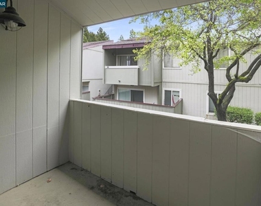 1333 N Camino Alto - Photo Thumbnail 11