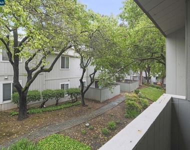 1333 N Camino Alto - Photo Thumbnail 12