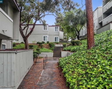 1333 N Camino Alto - Photo Thumbnail 20