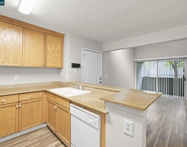 1333 N Camino Alto - Photo Thumbnail 10