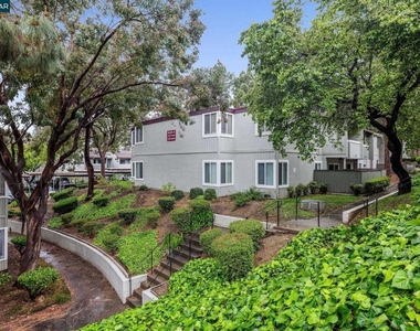 1333 N Camino Alto - Photo Thumbnail 19