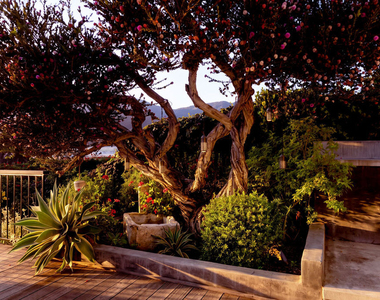 221 Tranquillo Road - Photo Thumbnail 22