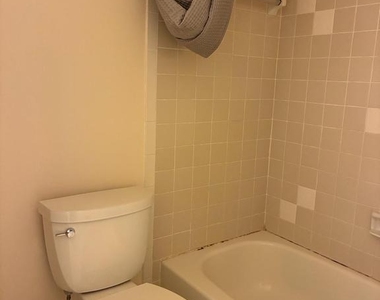 11907 Fallen Holly Court - Photo Thumbnail 15
