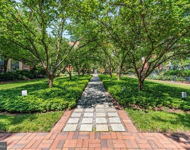 520 John Carlyle Street - Photo Thumbnail 20