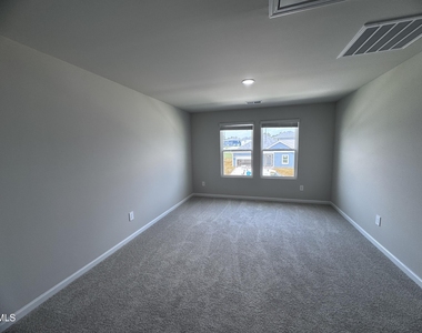50 Thistle Patch Place - Photo Thumbnail 12