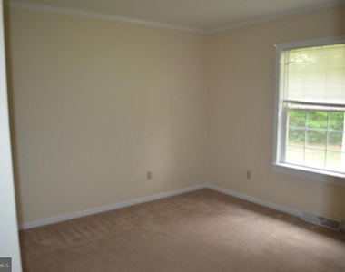 43987 Sandy Bottom Road - Photo Thumbnail 4