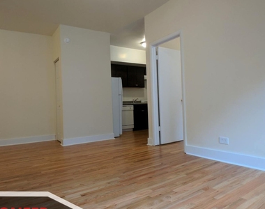 1532 N Kedzie Avenue - Photo Thumbnail 4