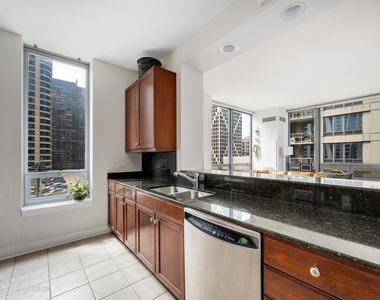 600 N Lake Shore Drive - Photo Thumbnail 9