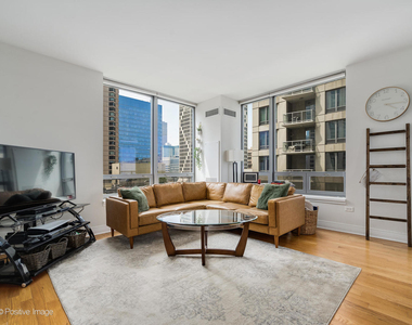 600 N Lake Shore Drive - Photo Thumbnail 3