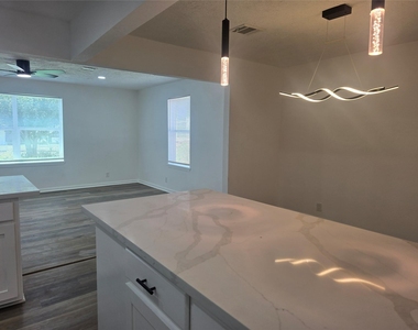 5102 Avenue L - Photo Thumbnail 11