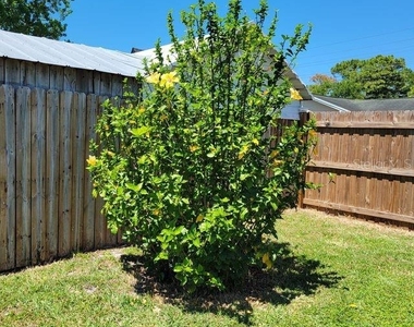 7431 Sheepshead Drive - Photo Thumbnail 12