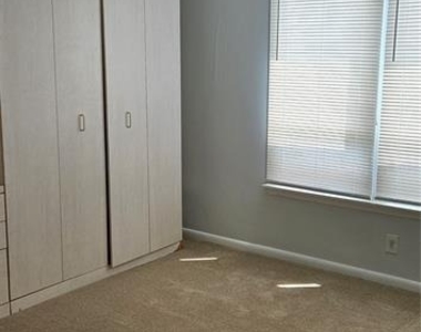 2617 Cove Cay Drive - Photo Thumbnail 9