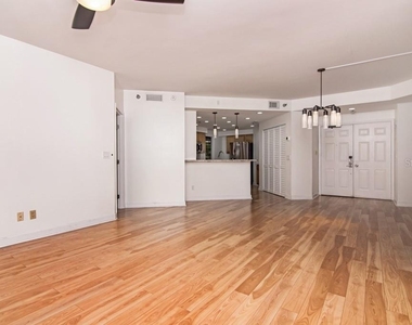 1002 S Harbour Island Boulevard - Photo Thumbnail 12