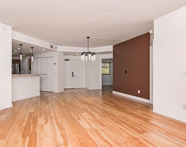 1002 S Harbour Island Boulevard - Photo Thumbnail 13