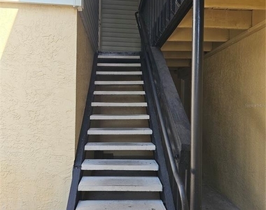 247 Thorn Tree Place - Photo Thumbnail 1