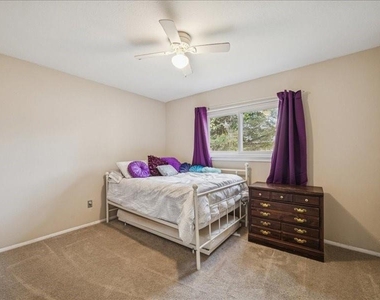 3902 Broken Elm Drive - Photo Thumbnail 21