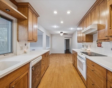 3902 Broken Elm Drive - Photo Thumbnail 14