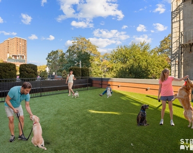 Greene Avenue & Classon Avenue  - Photo Thumbnail 11