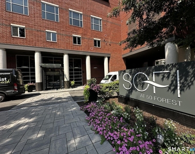 52 Forest Street - Photo Thumbnail 21