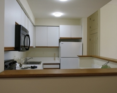 519 Trinity Pl - Photo Thumbnail 7