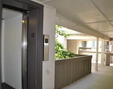 4859 Cedar Springs Road - Photo Thumbnail 11