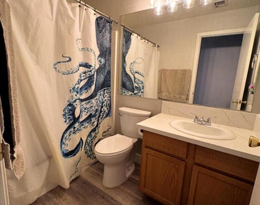 834 E Rossi Court - Photo Thumbnail 11