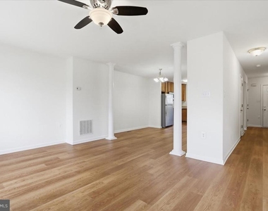 32 Mabel Lane - Photo Thumbnail 11