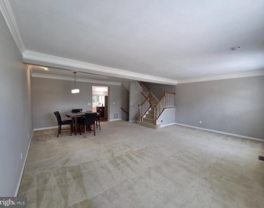 43738 Clemens Terrace - Photo Thumbnail 38