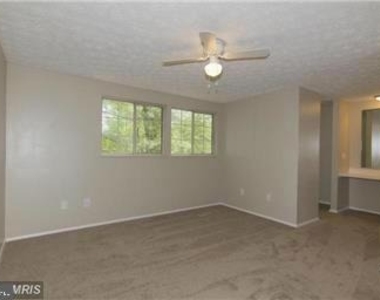 11556 Ivy Bush Court - Photo Thumbnail 12