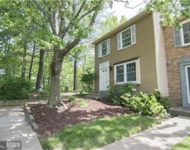 11556 Ivy Bush Court - Photo Thumbnail 2