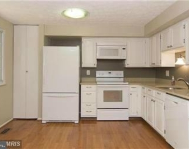 11556 Ivy Bush Court - Photo Thumbnail 6