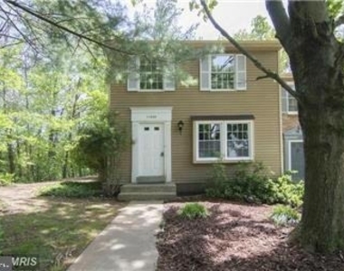 11556 Ivy Bush Court - Photo Thumbnail 1
