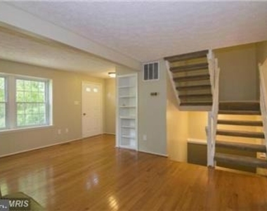 11556 Ivy Bush Court - Photo Thumbnail 11