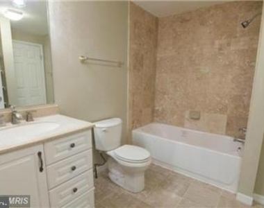 11556 Ivy Bush Court - Photo Thumbnail 13