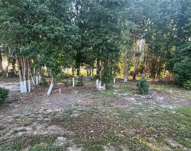 168 Placid Pond Drive - Photo Thumbnail 35