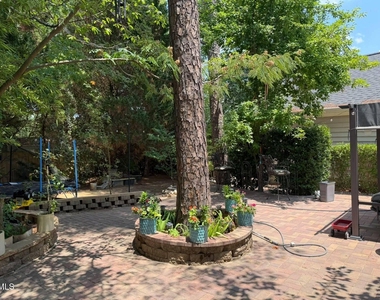 304 Star Magnolia Drive - Photo Thumbnail 23